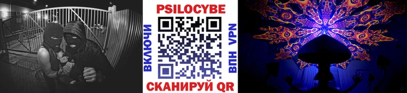 Псилоцибиновые грибы Psilocybe  Гороховец 